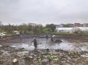 益阳河道鱼塘清淤
